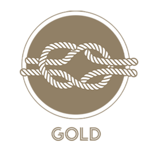 Dreams Made Travel Gold